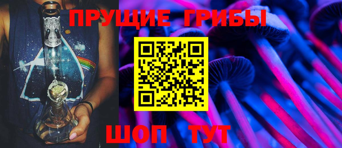 Псилоцибиновые грибы MAGIC MUSHROOMS  Псилоцибиновые грибы MAGIC MUSHROOMS  продажа наркотиков  Шахты  Вход с VPN 