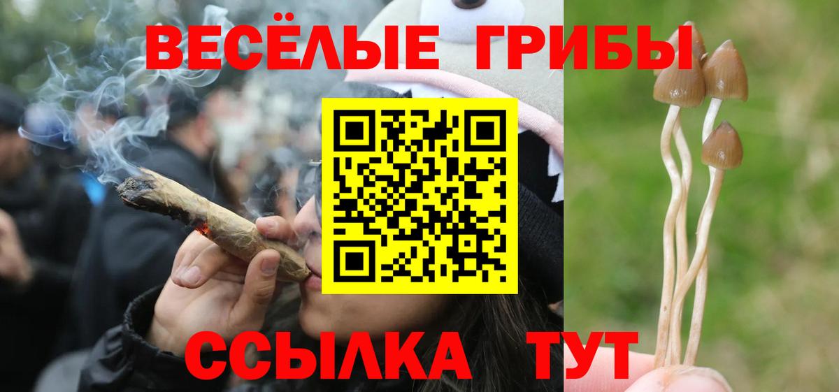 АМФЕТАМИН Шахты